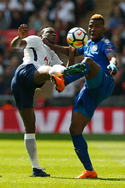 南美引进的 南美引进的